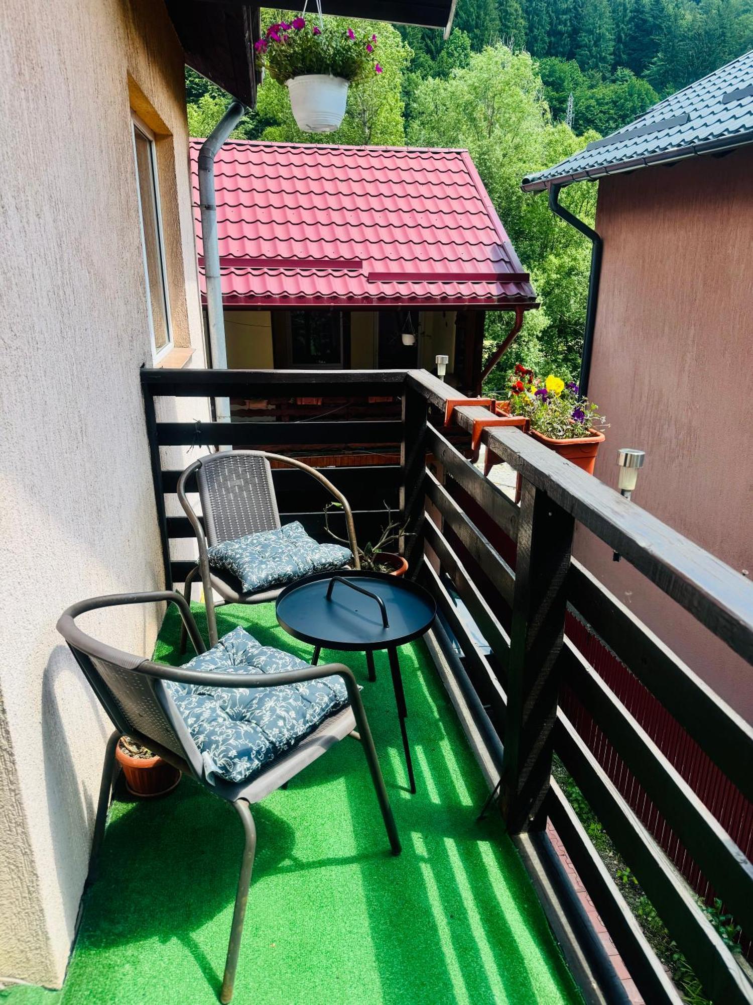 River Apartment Сіная Екстер'єр фото